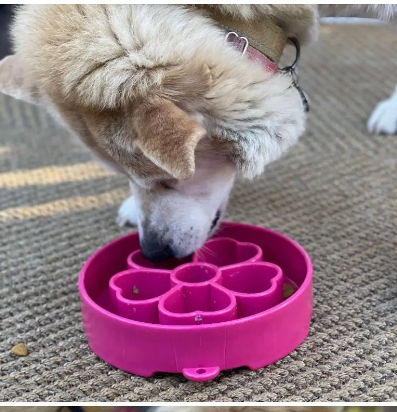 SodaPup - Flower Design Ebowl Enrichment Slow Feeder Bowl - Chewbox Natural Dog Chew - Grain & Gluten Free