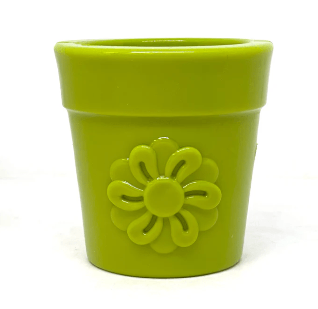 SodaPup Flower Pot Nylon Chew & Enrichment Toy - Chewbox Natural Dog Chew - Grain & Gluten Free