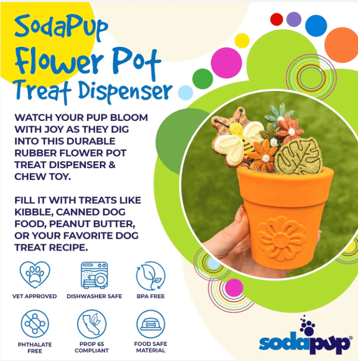 SodaPup Flower Pot Nylon Chew & Enrichment Toy - Chewbox Natural Dog Chew - Grain & Gluten Free