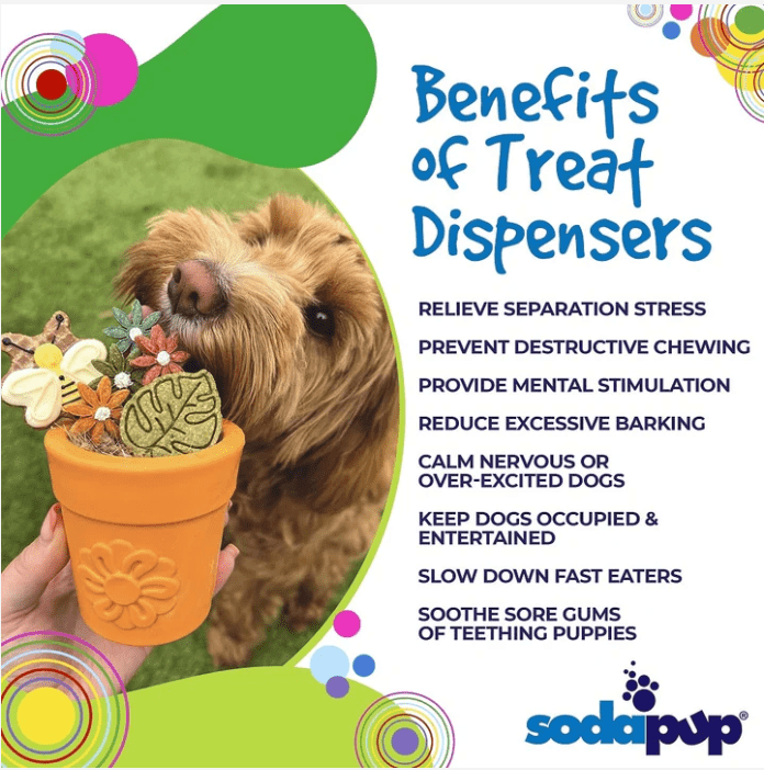 SodaPup Flower Pot Nylon Chew & Enrichment Toy - Chewbox Natural Dog Chew - Grain & Gluten Free