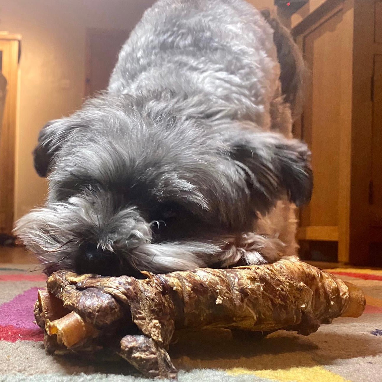 Beef Wrapped Tracheas - Chewbox Natural Dog Chew - Grain & Gluten Free